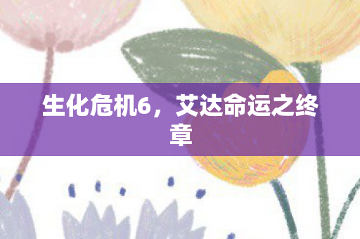 生化危机6，艾达命运之终章