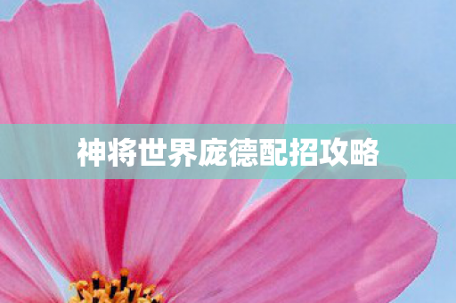 神将世界庞德配招攻略