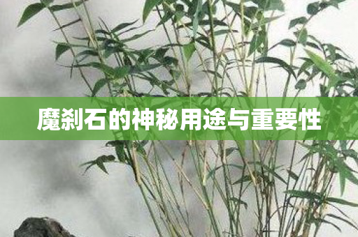 魔刹石的神秘用途与重要性