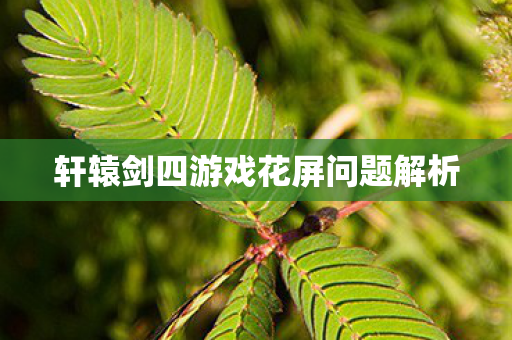 轩辕剑四游戏花屏问题解析