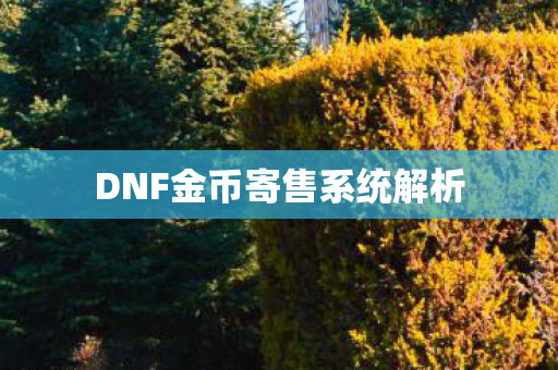 DNF金币寄售系统解析