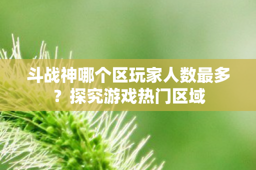 斗战神哪个区玩家人数最多？探究游戏热门区域