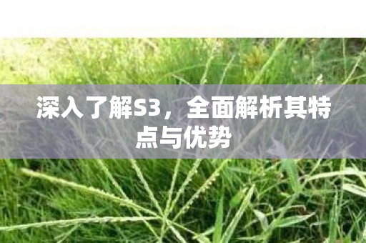 深入了解S3,全面解析其特点与优势 深入了解S3,全面解析其特点与优势