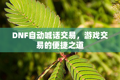 DNF自动喊话交易，游戏交易的便捷之道