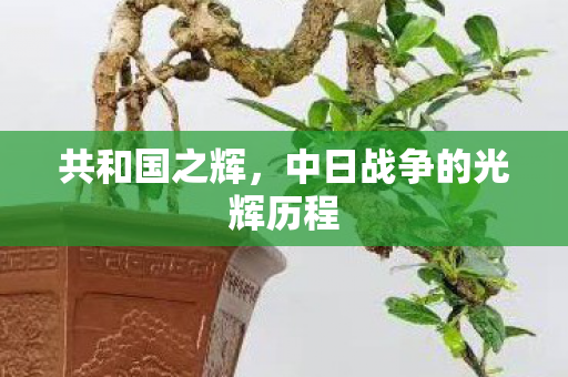 共和国之辉，中日战争的光辉历程