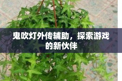 鬼吹灯外传辅助，探索游戏的新伙伴