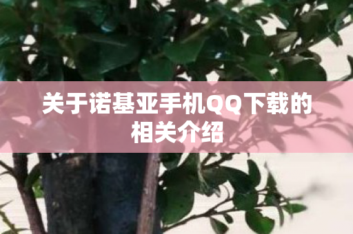 关于诺基亚手机QQ下载的相关介绍 关于诺基亚手机QQ下载的相关介绍