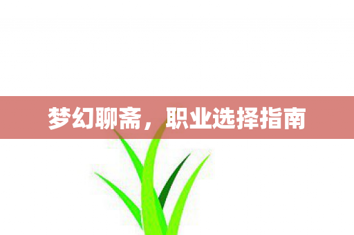 梦幻聊斋，职业选择指南