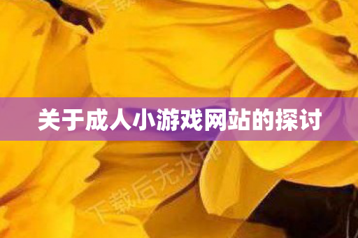 关于成人小游戏网站的探讨