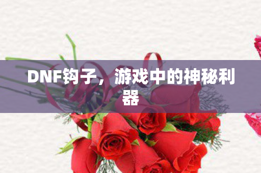 DNF钩子，游戏中的神秘利器