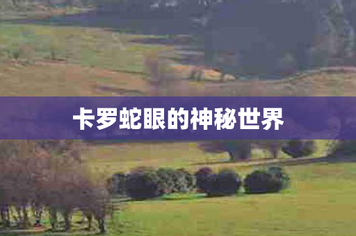卡罗蛇眼的神秘世界