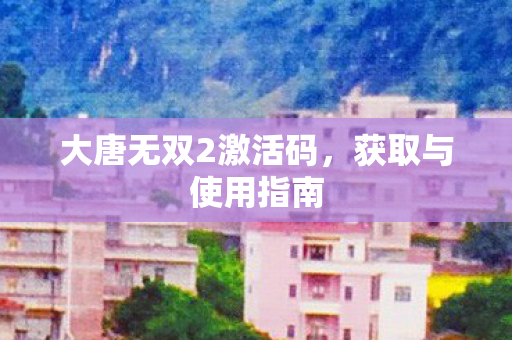 大唐无双2激活码，获取与使用指南
