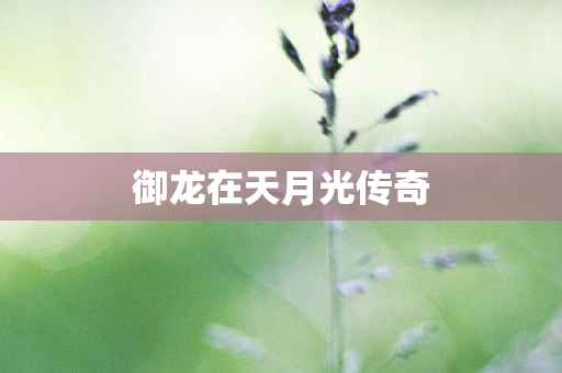 御龙在天月光传奇