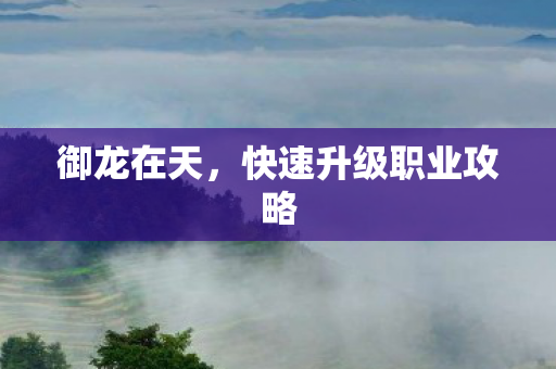 御龙在天，快速升级职业攻略