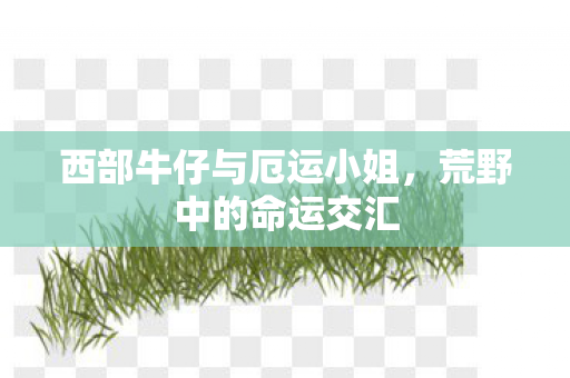 西部牛仔与厄运小姐，荒野中的命运交汇