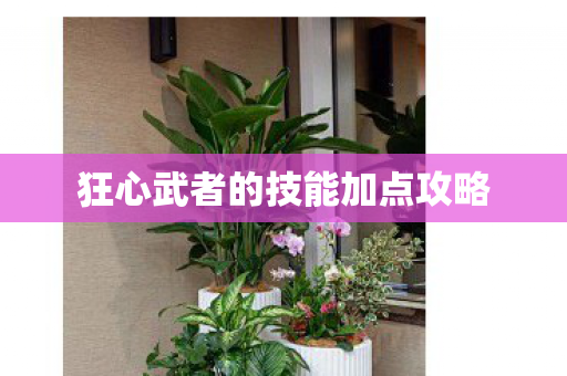 狂心武者的技能加点攻略