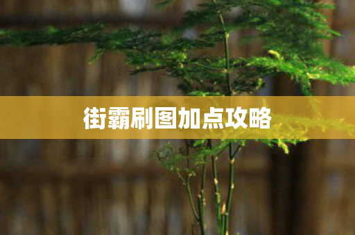 街霸刷图加点攻略 街霸刷图加点攻略