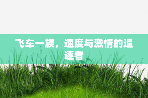 飞车一族，速度与激情的追逐者