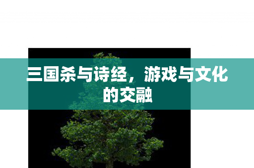 三国杀与诗经,游戏与文化的交融 三国杀与诗经,游戏与文化的交融