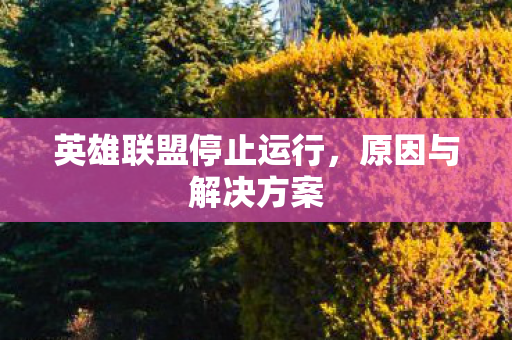 英雄联盟停止运行，原因与解决方案