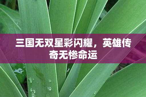 三国无双星彩闪耀，英雄传奇无惨命运