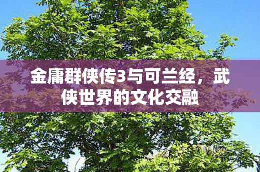 金庸群侠传3与可兰经，武侠世界的文化交融