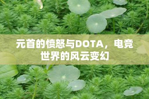 元首的愤怒与DOTA，电竞世界的风云变幻