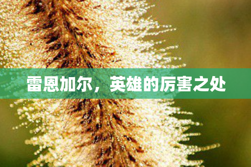 雷恩加尔，英雄的厉害之处