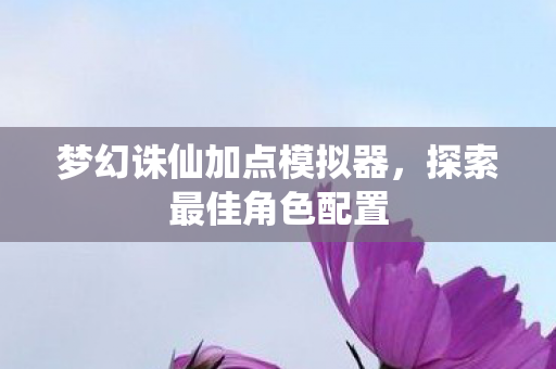 梦幻诛仙加点模拟器，探索最佳角色配置