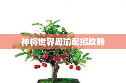 神将世界周瑜配招攻略