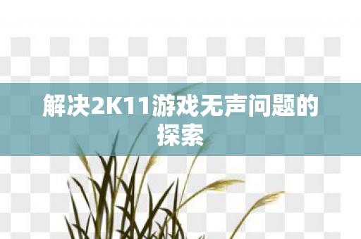 解决2K11游戏无声问题的探索
