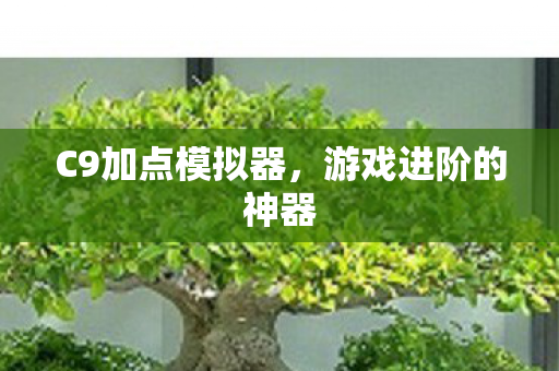 C9加点模拟器，游戏进阶的神器