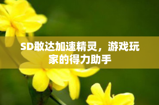SD敢达加速精灵，游戏玩家的得力助手