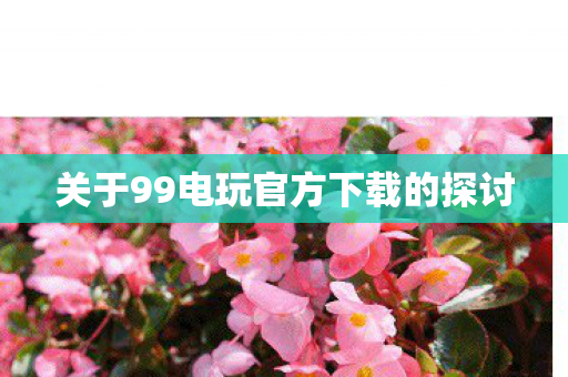 关于99电玩官方下载的探讨 关于99电玩官方下载的探讨