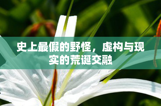 史上最假的野怪，虚构与现实的荒诞交融