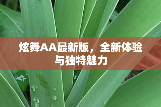 炫舞AA最新版,全新体验与独特魅力 炫舞AA最新版,全新体验与独特魅力