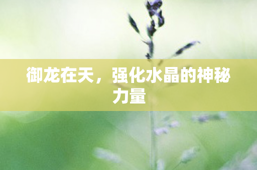 御龙在天，强化水晶的神秘力量
