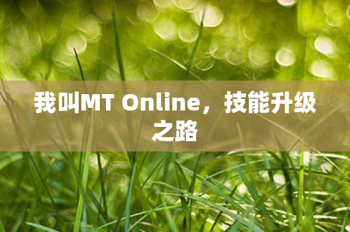 我叫MT Online，技能升级之路