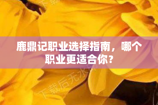 鹿鼎记职业选择指南，哪个职业更适合你？