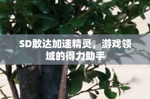 SD敢达加速精灵，游戏领域的得力助手