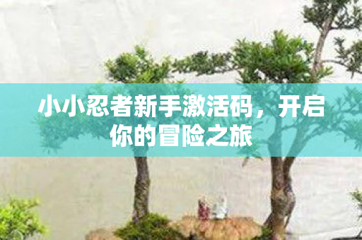 小小忍者新手激活码，开启你的冒险之旅