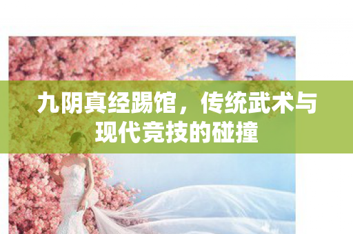 九阴真经踢馆，传统武术与现代竞技的碰撞