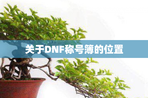 关于DNF称号簿的位置