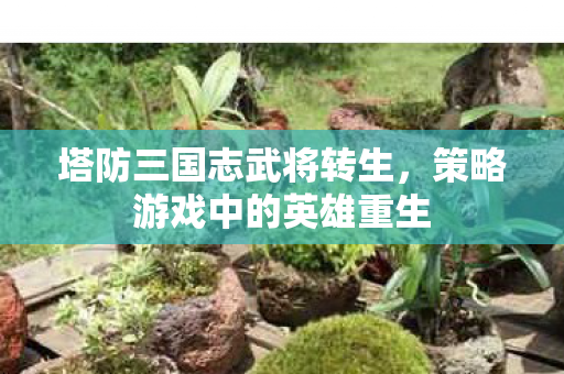 塔防三国志武将转生，策略游戏中的英雄重生