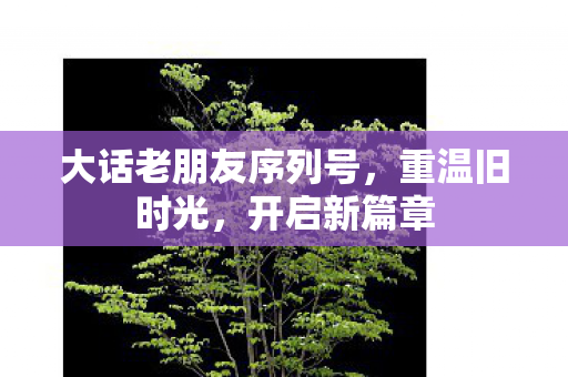 大话老朋友序列号，重温旧时光，开启新篇章