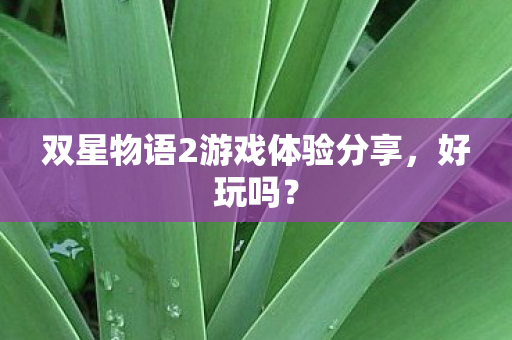 双星物语2游戏体验分享,好玩吗? 双星物语2游戏体验分享,好玩吗?