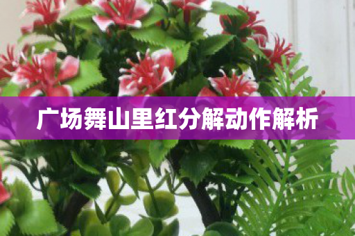 广场舞山里红分解动作解析