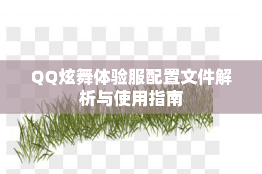 QQ炫舞体验服配置文件解析与使用指南