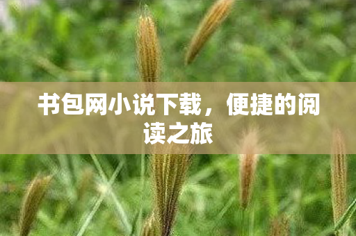 书包网小说下载,便捷的阅读之旅 书包网小说下载,便捷的阅读之旅