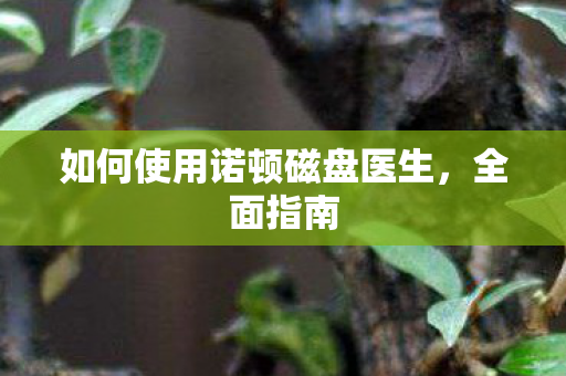 如何使用诺顿磁盘医生，全面指南